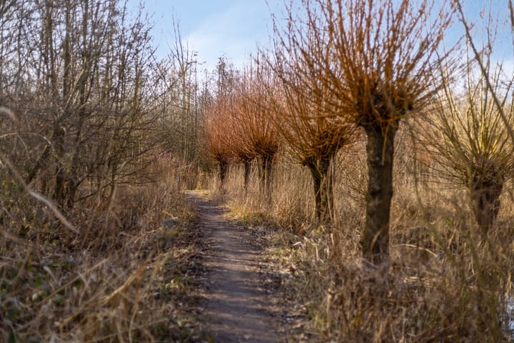 Foto 40 van Bloemkeshof 96