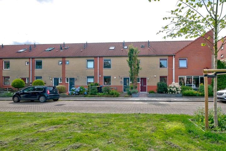 undefined main image