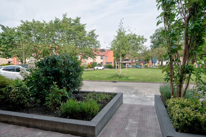 Photo 42 of Krekelkleuven 38