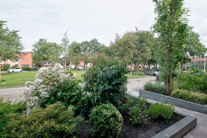 Photo 43 of Krekelkleuven 38