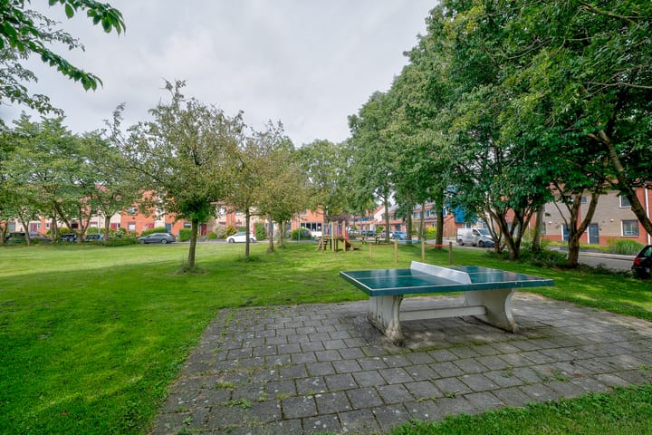 Photo 44 of Krekelkleuven 38