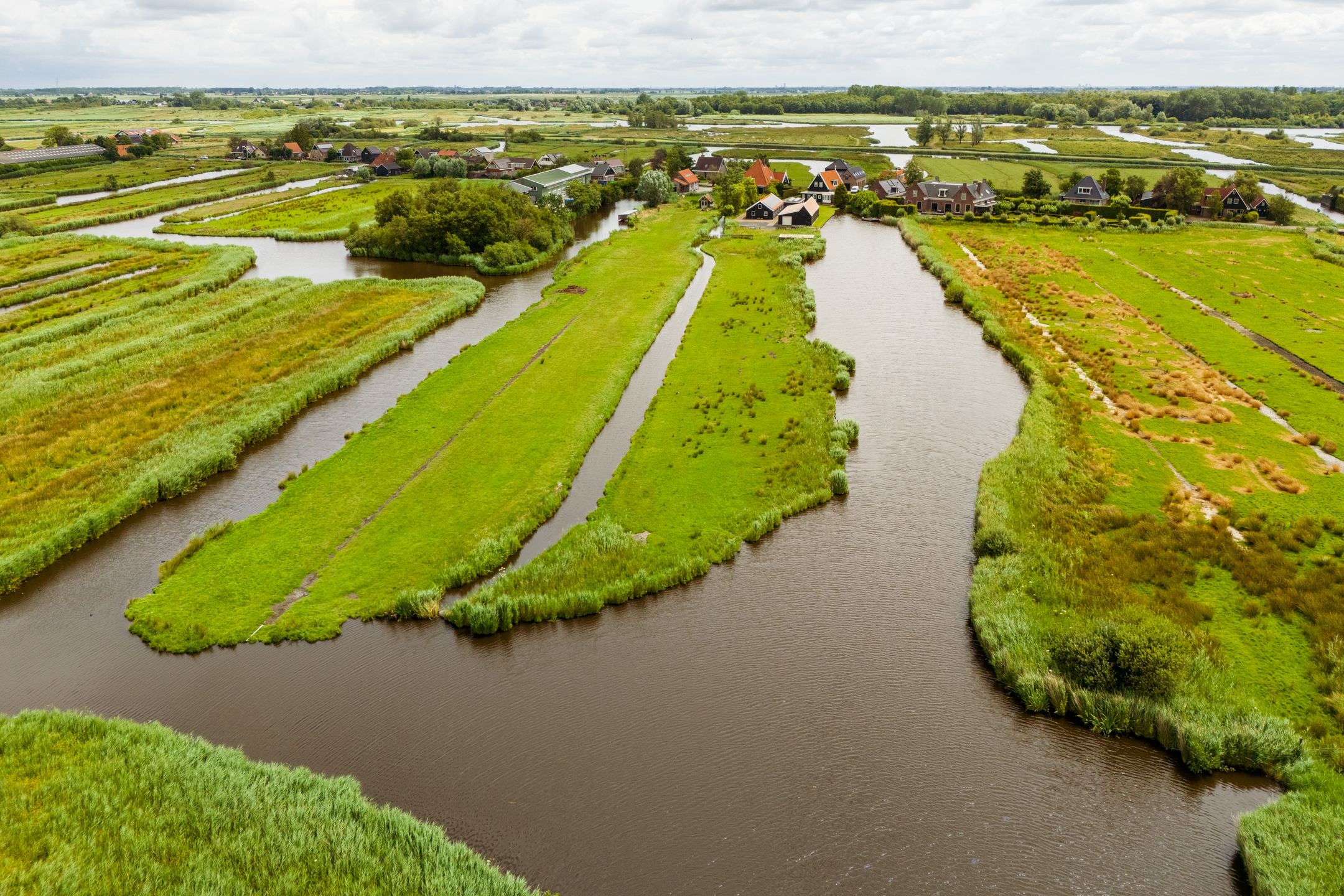 Foto 45 van De Haal 115