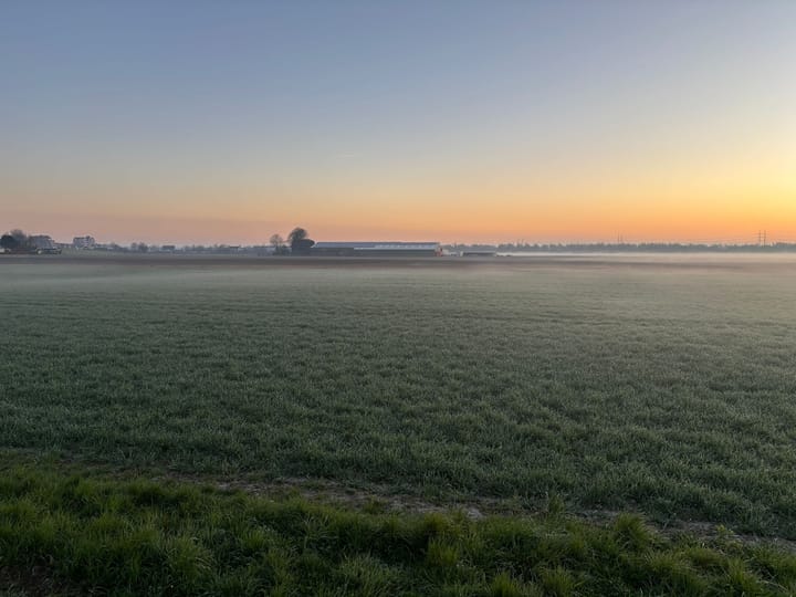 Foto 37 van Rietkraag 78