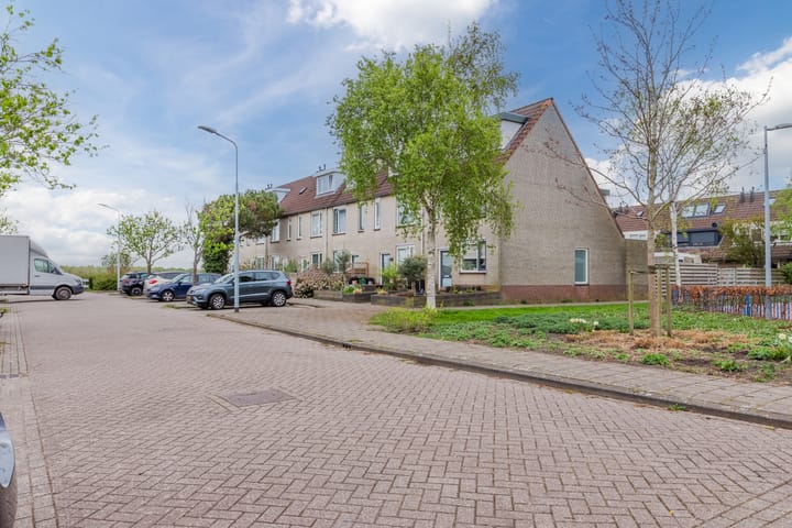 Foto 38 van Rietkraag 78