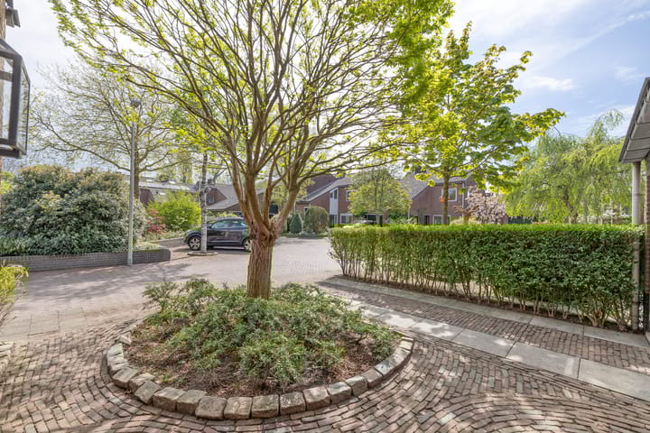 Foto 34 van Goudwespmeent 93