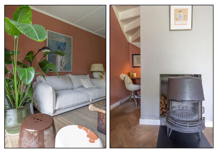 Foto 5 van Goudwespmeent 93