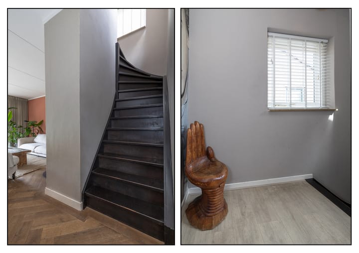 Foto 12 van Goudwespmeent 93