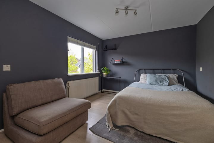 Foto 14 van Goudwespmeent 93