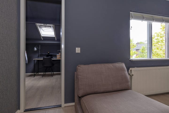 Foto 16 van Goudwespmeent 93