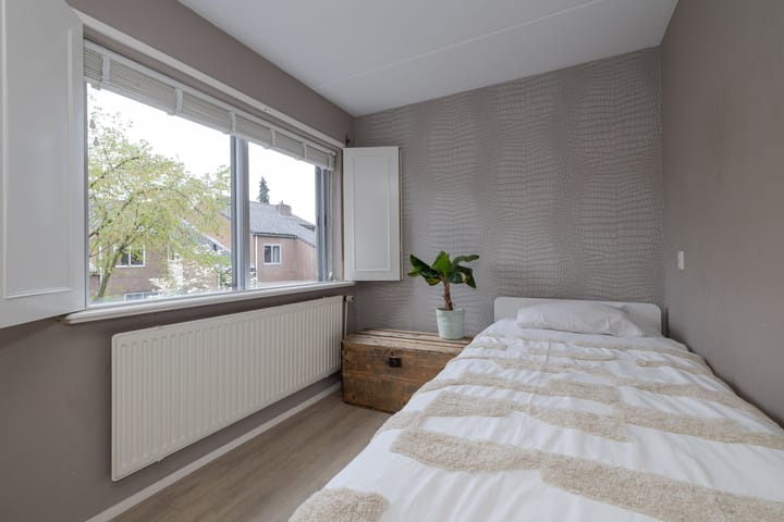 Foto 19 van Goudwespmeent 93