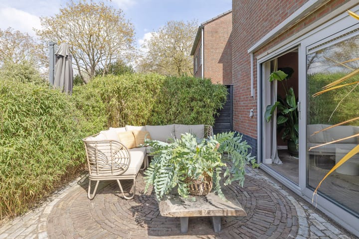 Foto 27 van Goudwespmeent 93