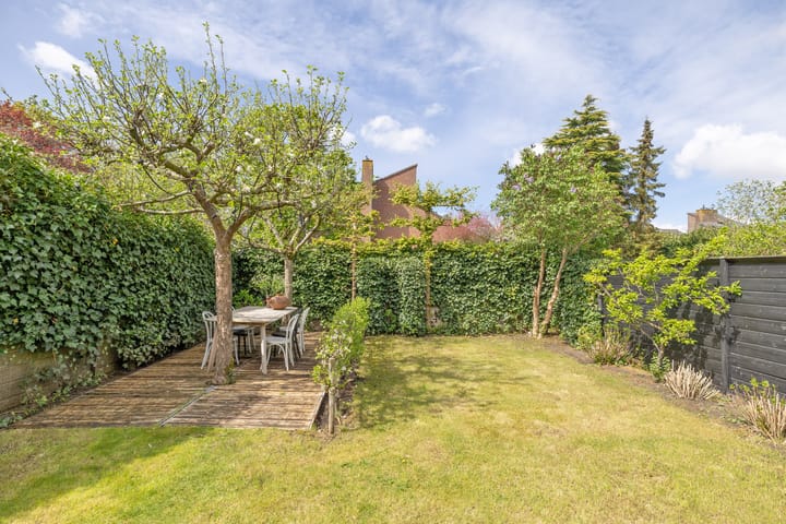 Foto 28 van Goudwespmeent 93