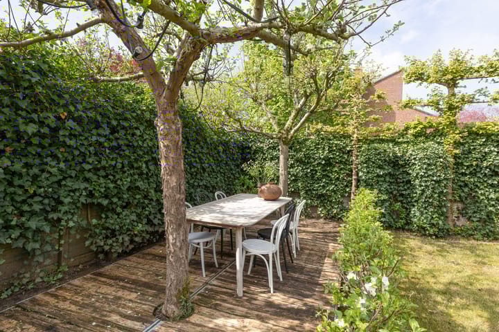 Foto 29 van Goudwespmeent 93