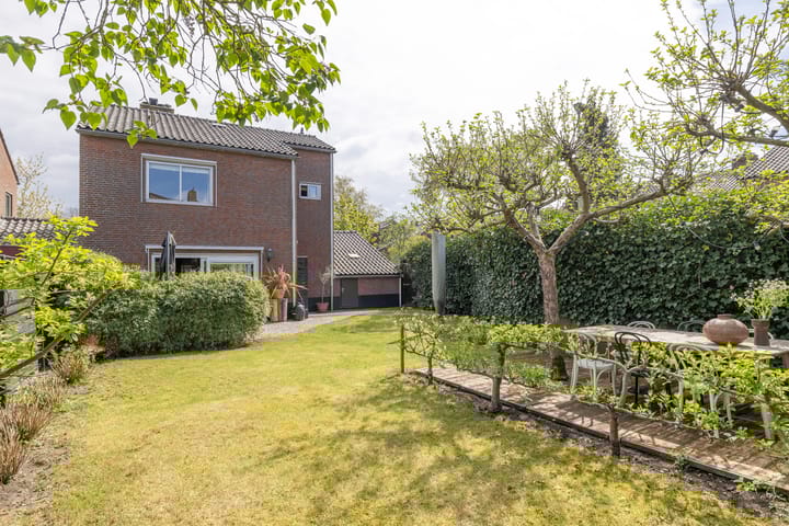 Foto 30 van Goudwespmeent 93