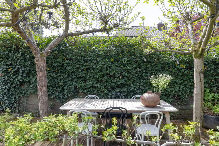 Foto 31 van Goudwespmeent 93