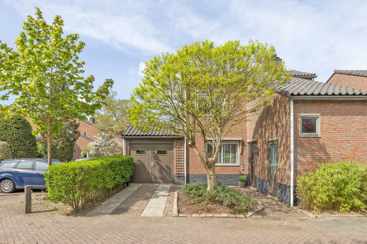 Foto 33 van Goudwespmeent 93