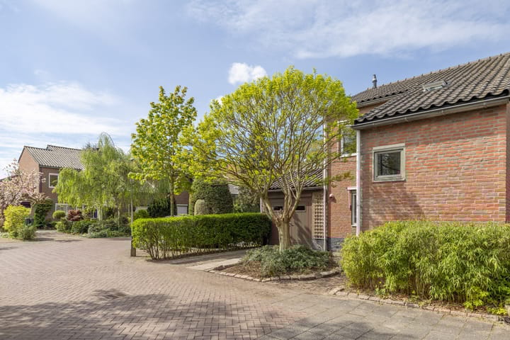 Foto 35 van Goudwespmeent 93