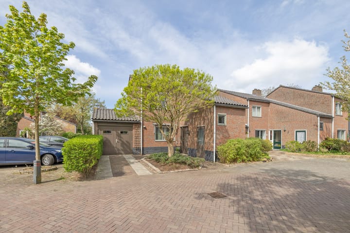 Foto 36 van Goudwespmeent 93