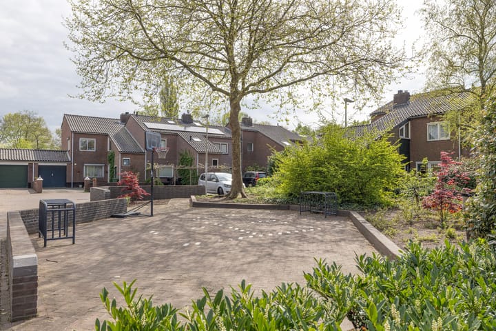 Foto 37 van Goudwespmeent 93