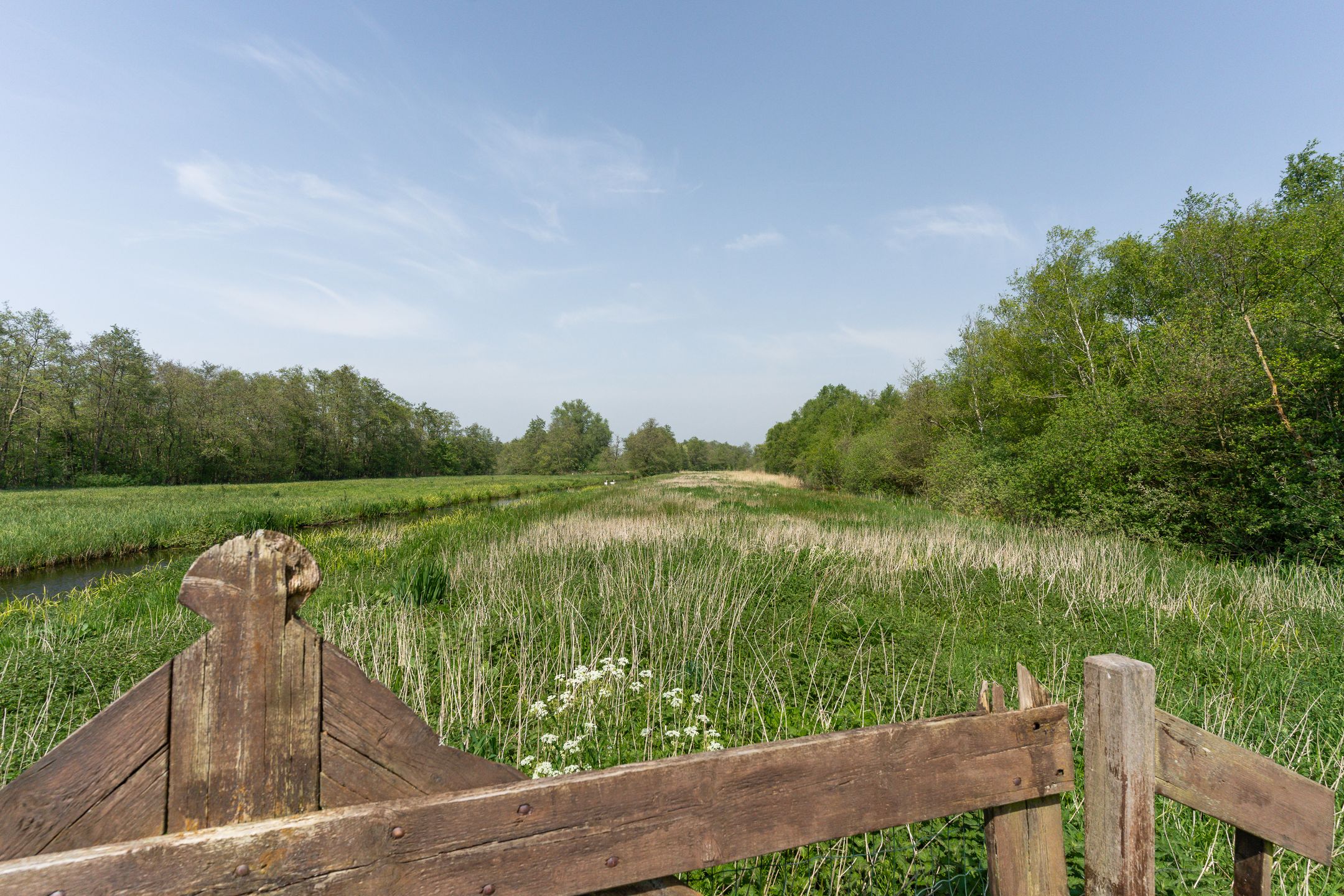 Foto 39 van Oud-Loosdrechtsedijk 114-B