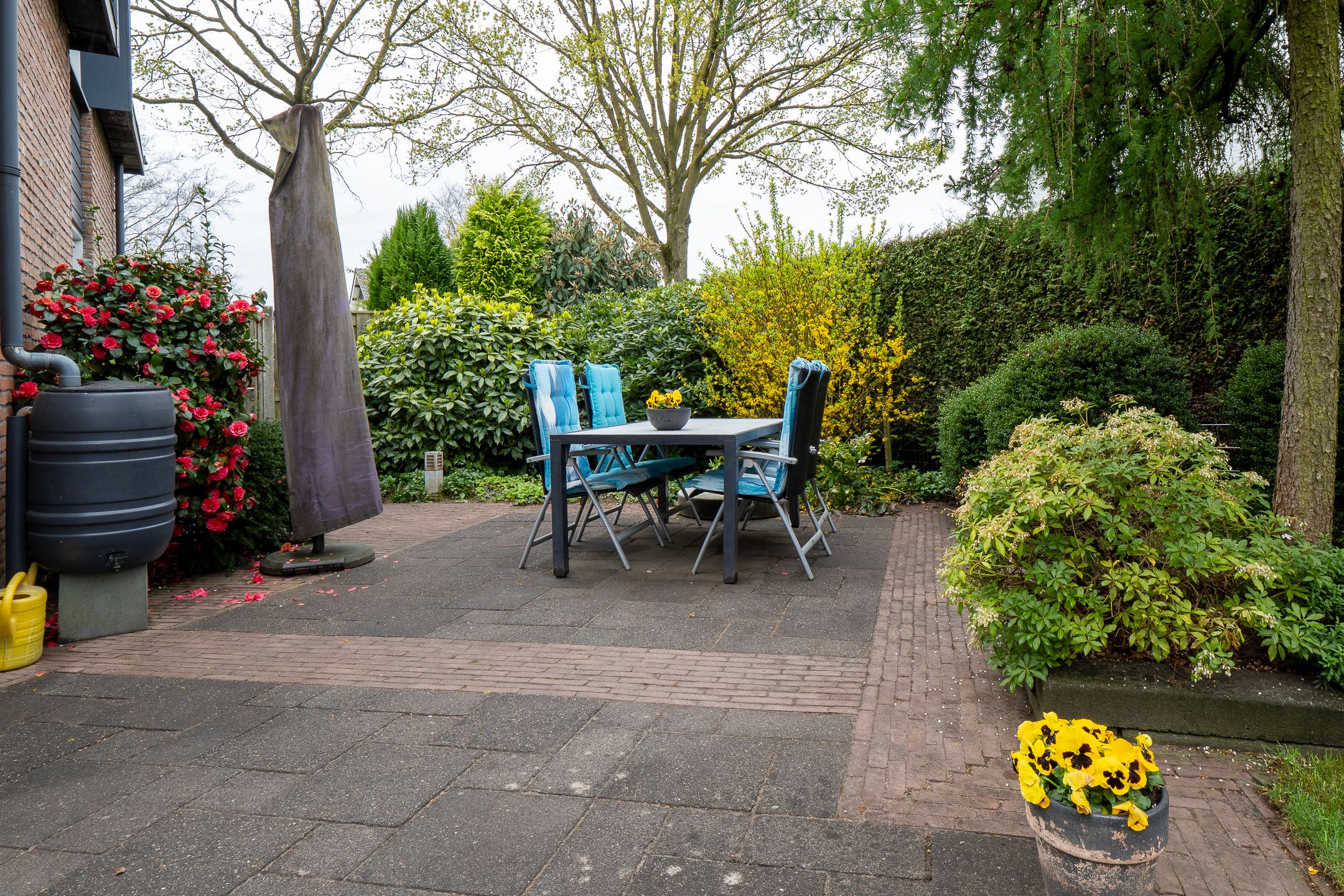 Photo 39 of Europastraat 79