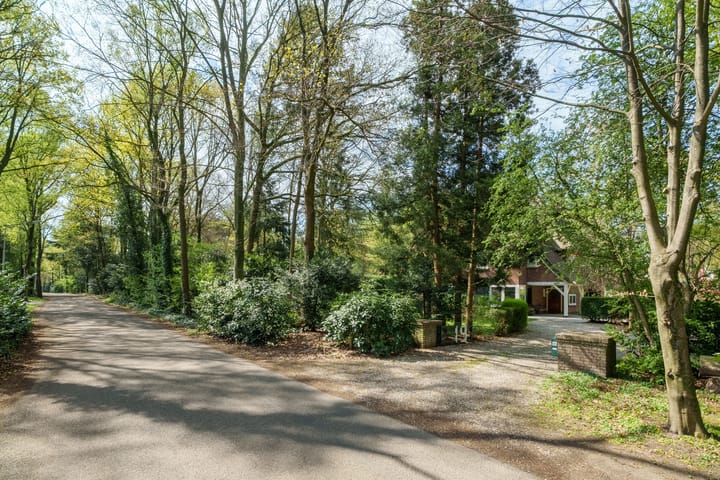 Foto 45 van Vossenlaan 19