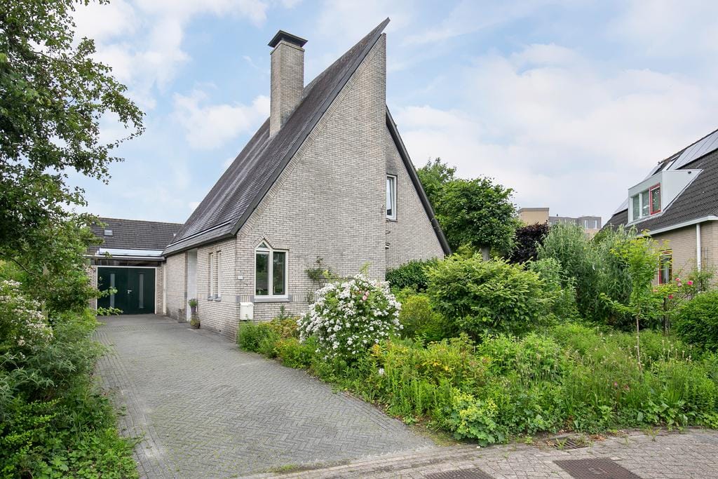 Foto 2 van Smientmesschen 10