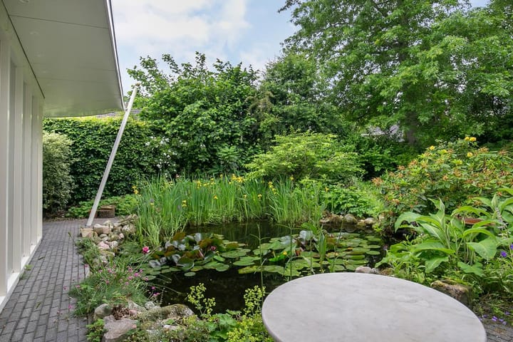 Foto 42 van Smientmesschen 10