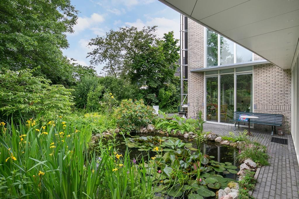 Foto 43 van Smientmesschen 10