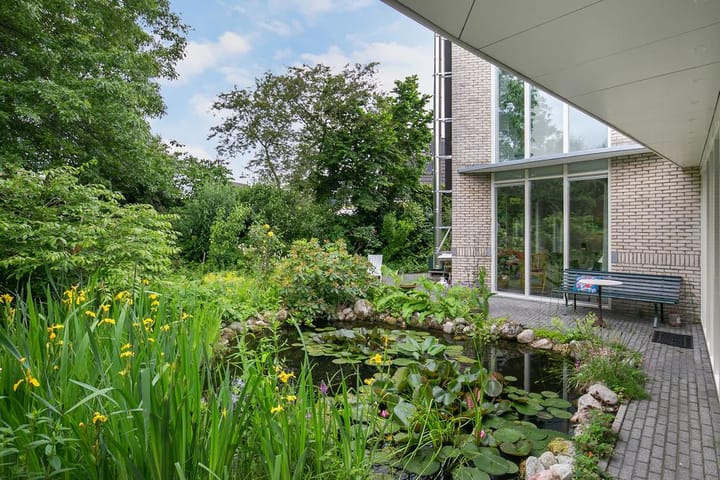 Foto 43 van Smientmesschen 10