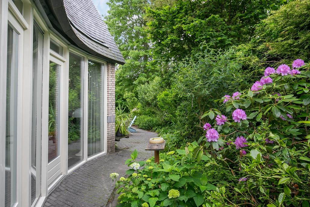 Foto 48 van Smientmesschen 10