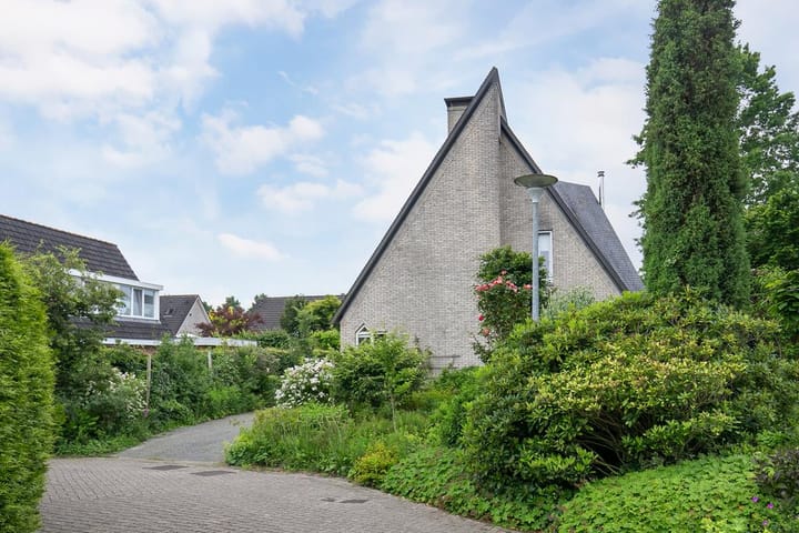 Foto 50 van Smientmesschen 10