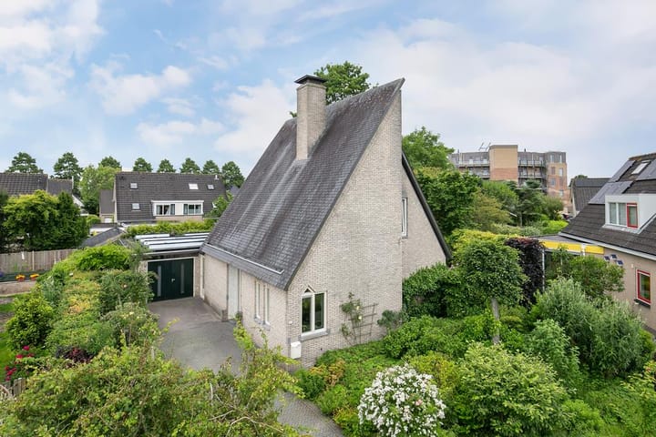 Foto 51 van Smientmesschen 10