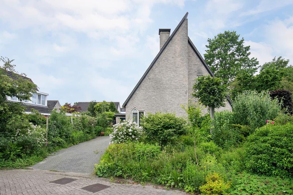 Foto 53 van Smientmesschen 10