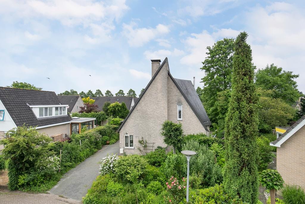 Foto 52 van Smientmesschen 10