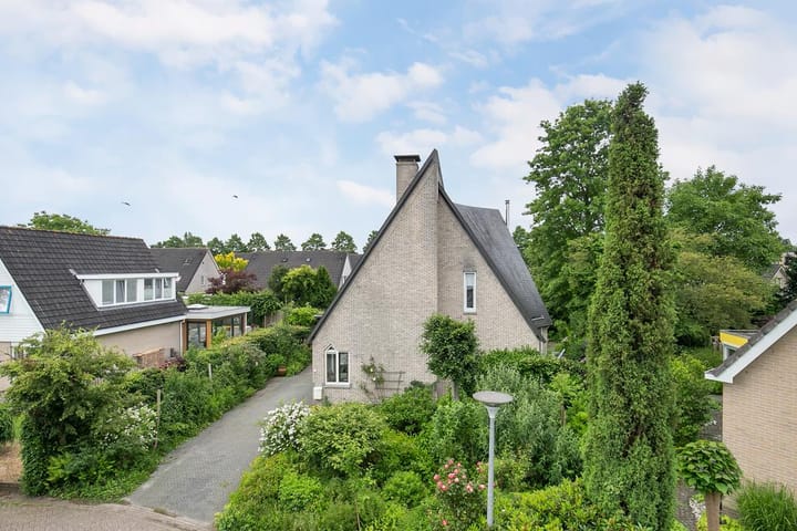 Foto 52 van Smientmesschen 10