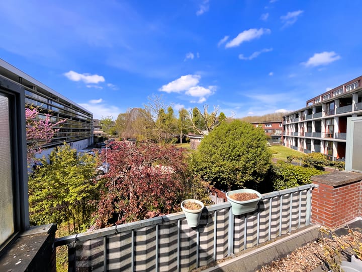 Foto 30 van Sint Monulphusweg 8