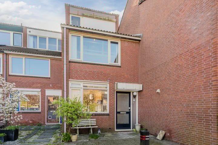 Pijlkruid 15