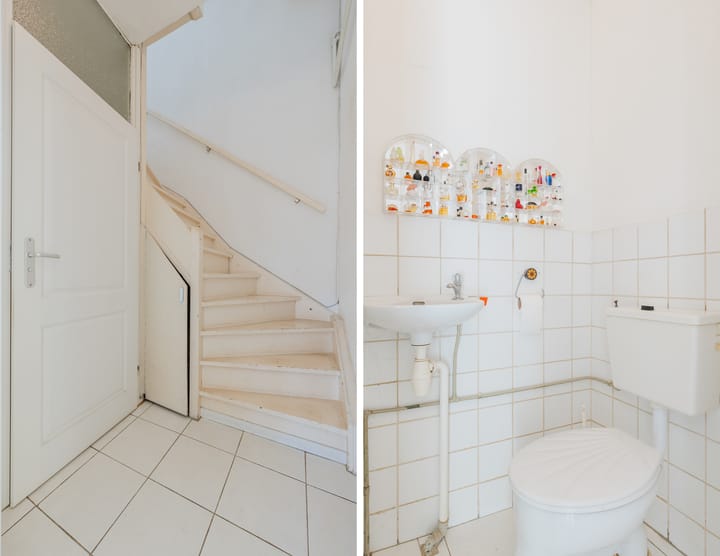 Foto 15 van Pijlkruid 15