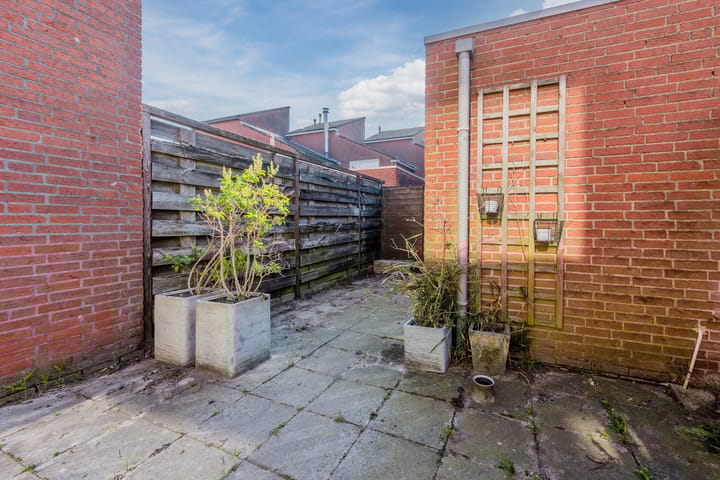 Foto 25 van Pijlkruid 15