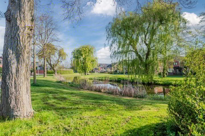 Foto 31 van Pijlkruid 15