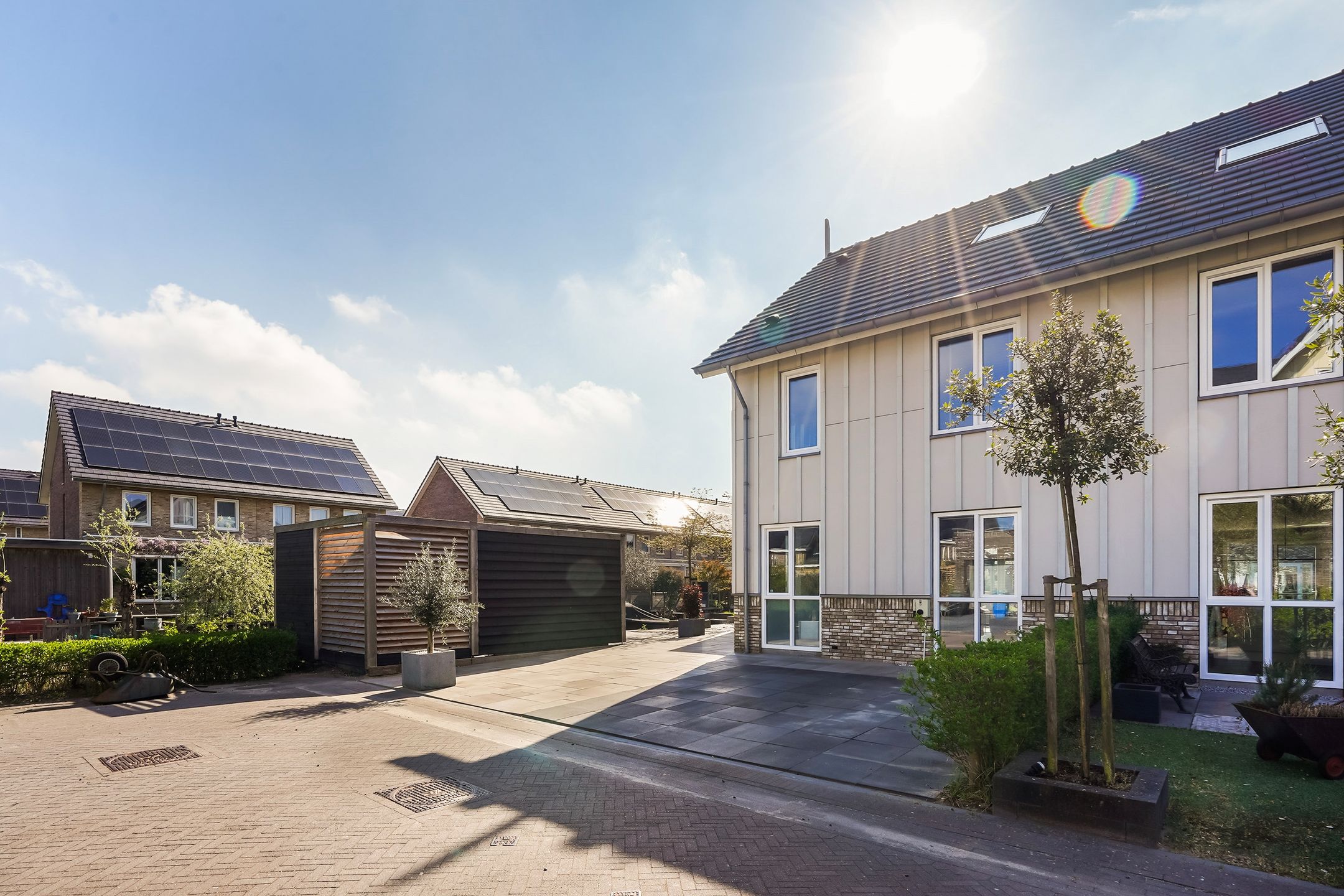 Foto 9 van Menagerie 20