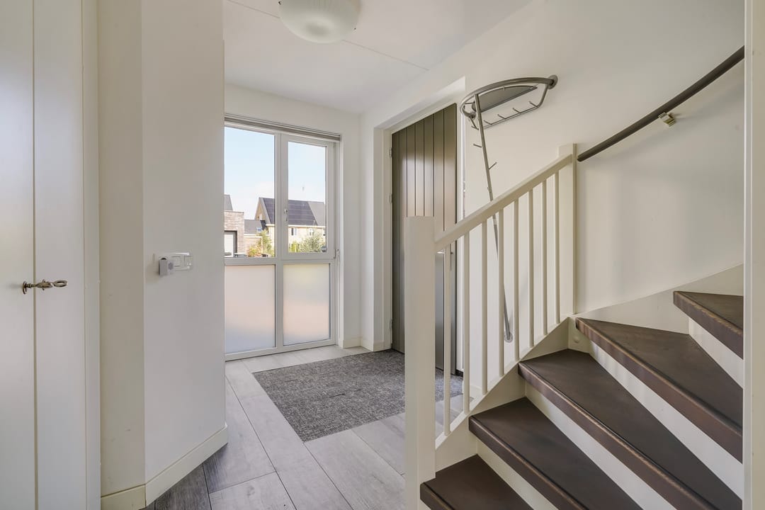 Foto 13 van Menagerie 20