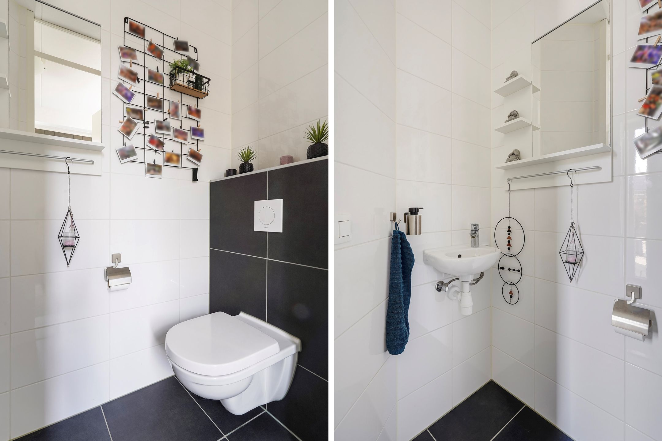 Foto 15 van Menagerie 20