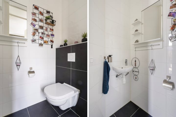 Foto 15 van Menagerie 20