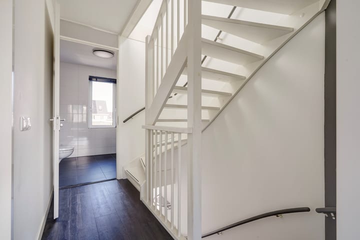 Foto 37 van Menagerie 20