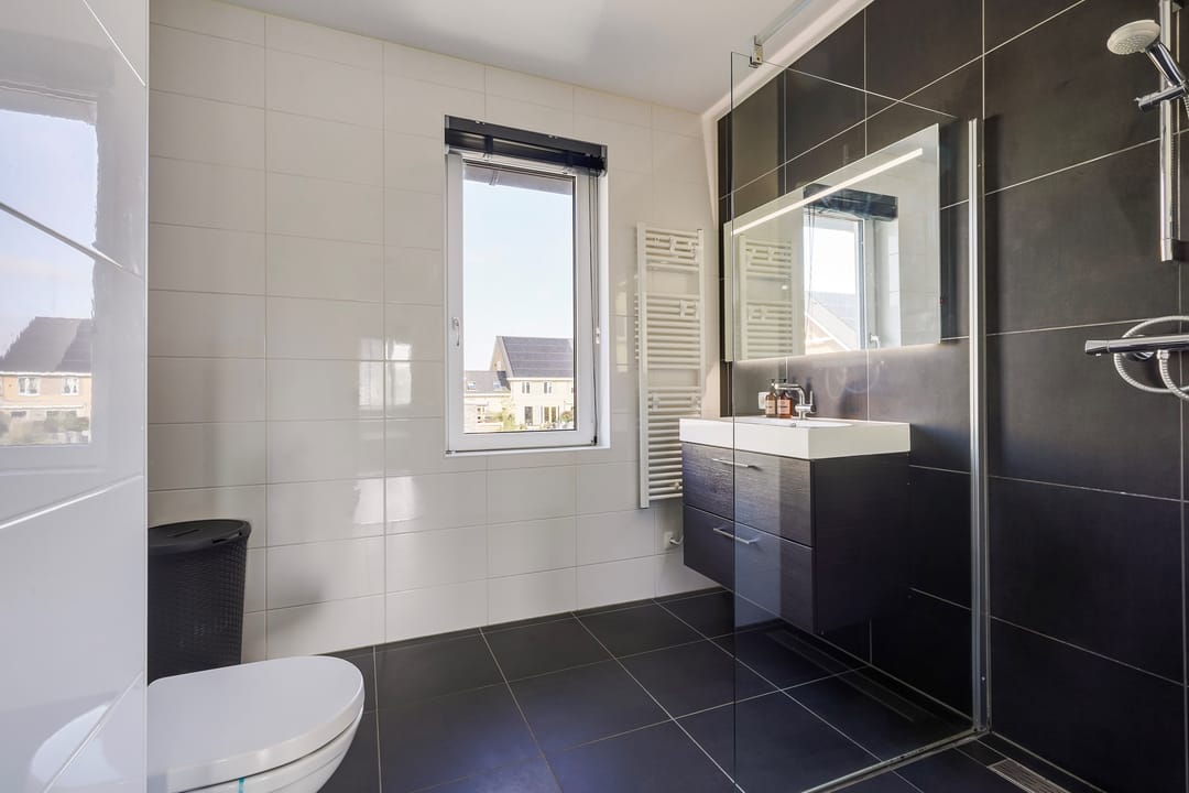 Foto 38 van Menagerie 20