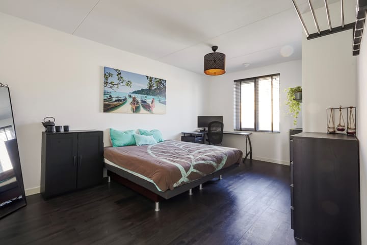 Foto 41 van Menagerie 20