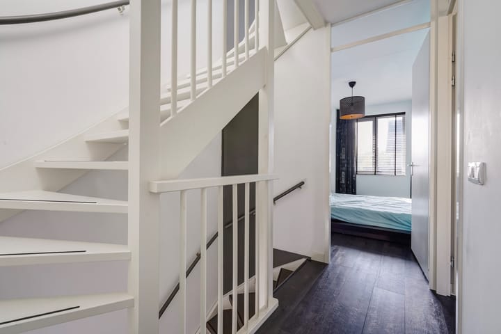 Foto 45 van Menagerie 20