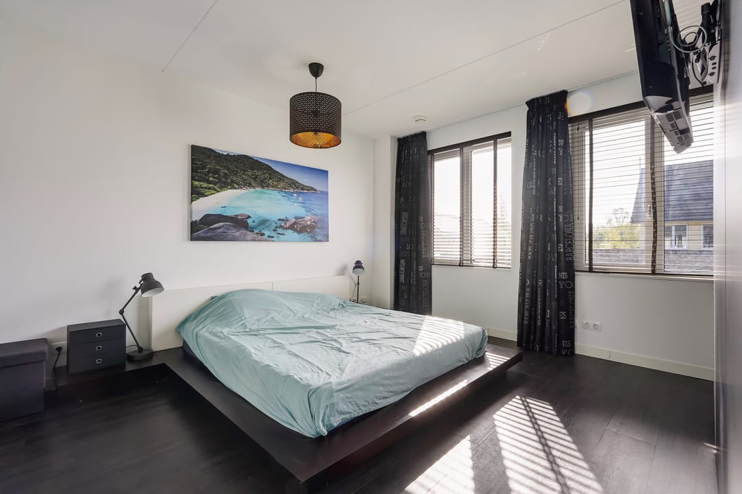 Foto 46 van Menagerie 20